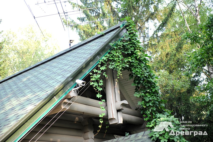 Оцилиндрованные дома из лиственницы фотографии